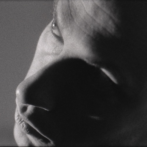 Portrait of Daniel Blumberg