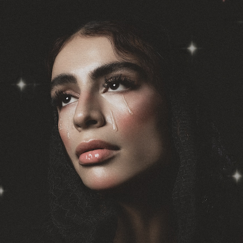 Portrait of  Sevdaliza